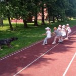 phoca_thumb_m_agility 47 Fotogalerie